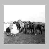 006-0046 Biothen 1940. Familie Otto Komm auf der Pferdekoppe..jpg